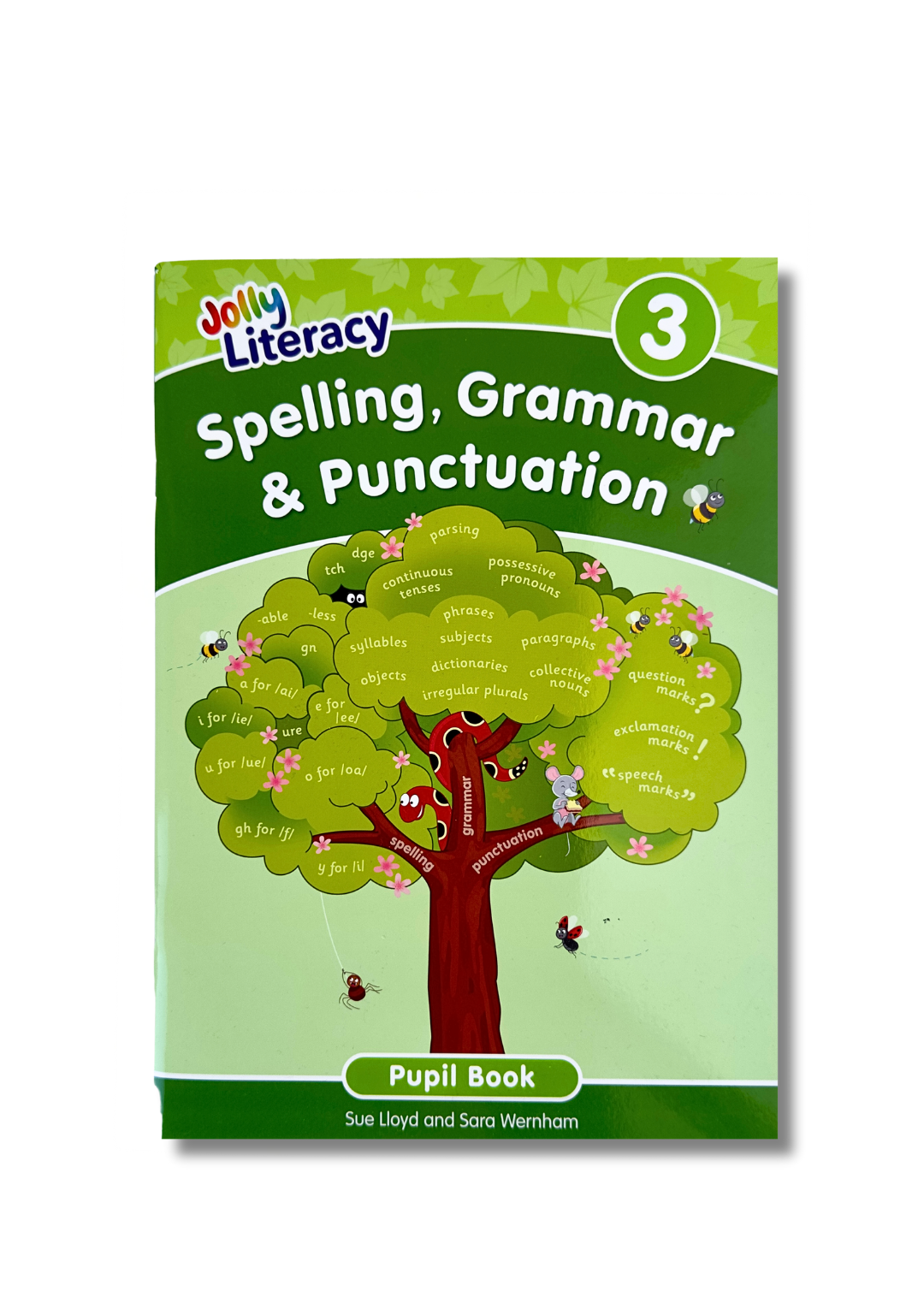 Spelling, Grammar & Punctuation Pupil - Book 3